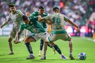 Hunde León al Santos Hunde León al Santos