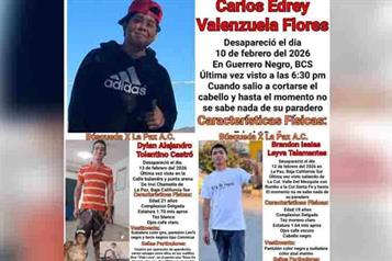 Documentan al menos 20 personas desaparecidas en BCS