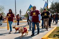 Lanzan iniciativa "No los atropelles, déjalos cruzar" Lanzan iniciativa "No los atropelles, déjalos cruzar"