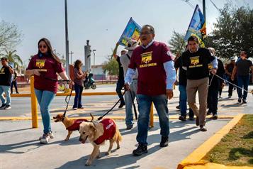 Lanzan iniciativa "No los atropelles, d&eacute;jalos cruzar"