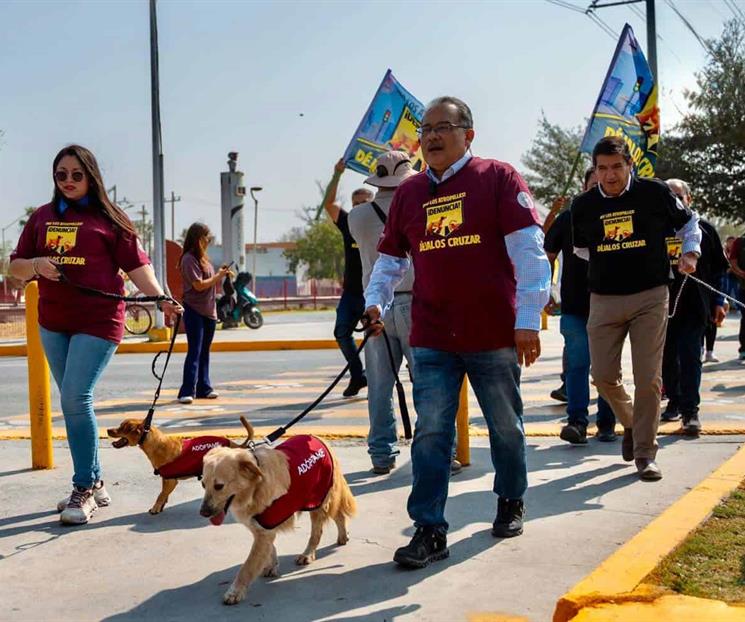 Lanzan iniciativa "No los atropelles, d&eacute;jalos cruzar"