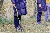 &iquest;Qu&eacute; es el Hobby Dogging, nueva tendencia en redes?