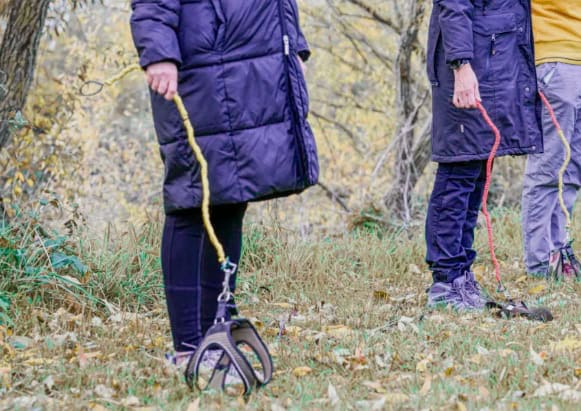 &iquest;Qu&eacute; es el Hobby Dogging, nueva tendencia en redes?