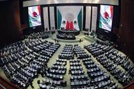 Se propone que 500 diputados y 96 senadores realicen campa&ntilde;a