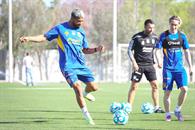 Ocupan felinos ganar Ocupan felinos ganar