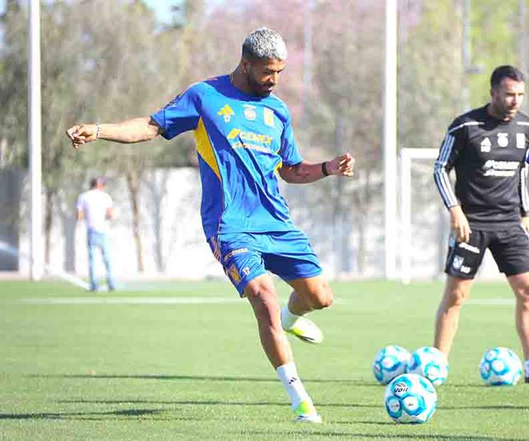 Ocupan felinos ganar Ocupan felinos ganar