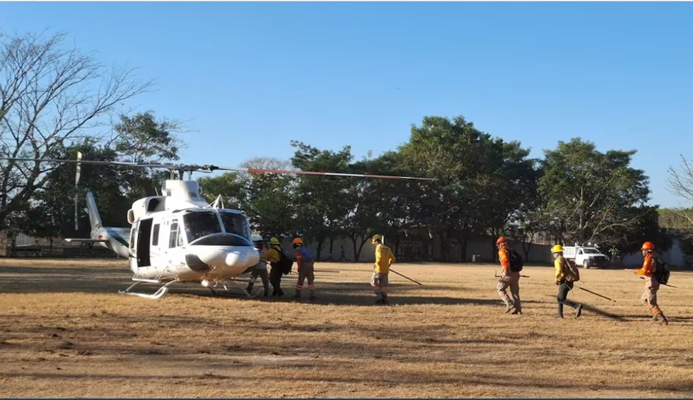 Incendio forestal en Cerro Bola ha consumido mil 300 hectáreas Incendio forestal en Cerro Bola ha consumido mil 300 hectáreas