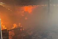 Arde tarimera en Pesquería Arde tarimera en Pesquería