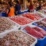 Las changueras: trabajadoras de mariscos en Mazatl&aacute;n