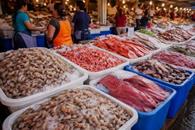 Las changueras: trabajadoras de mariscos en Mazatl&aacute;n