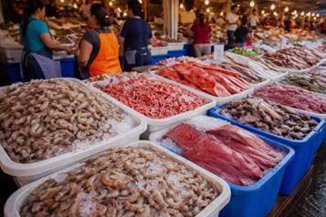 Las changueras: trabajadoras de mariscos en Mazatl&aacute;n