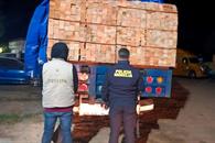 Detienen a 14 personas por tala ilegal en Michoac&aacute;n