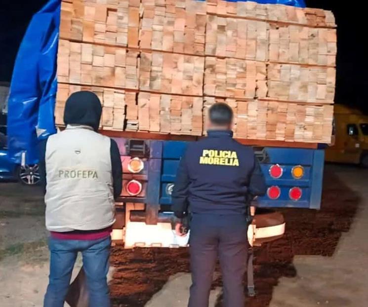 Detienen a 14 personas por tala ilegal en Michoac&aacute;n