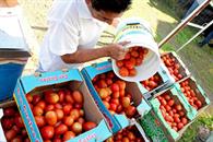 Precios se aceleran; la cuesta llega a febrero