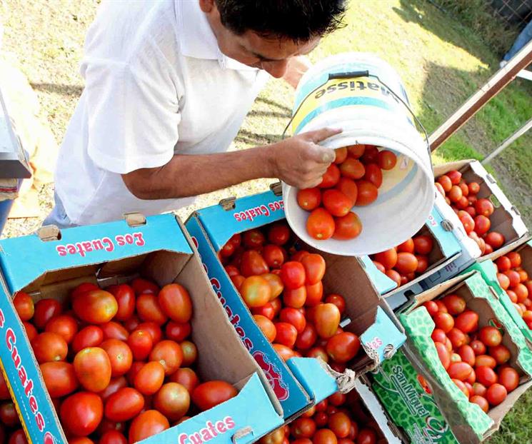 Precios se aceleran; la cuesta llega a febrero