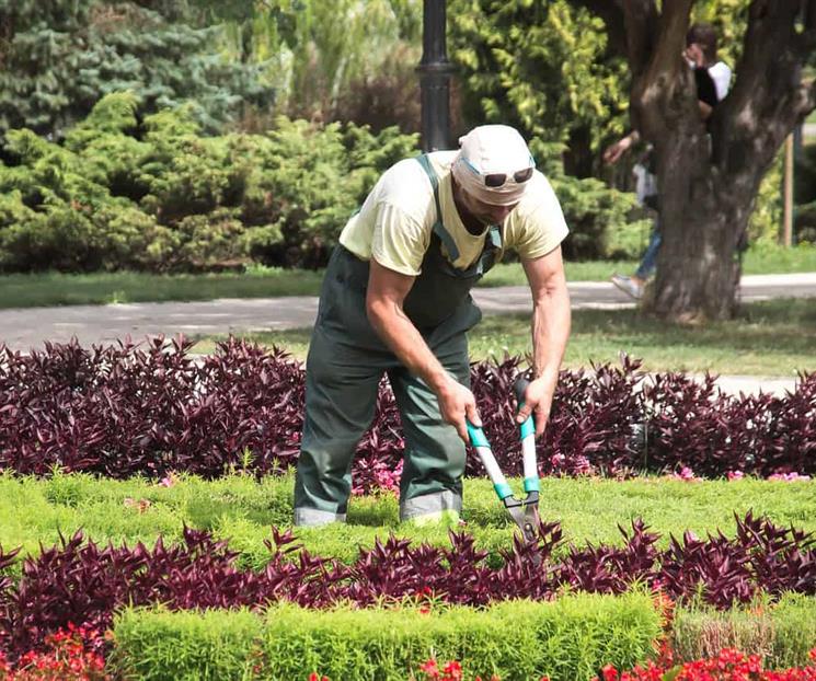 CEESP advierte: Se precariza empleo