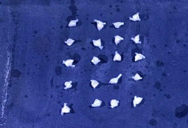 imagen-cuerpo imagen-cuerpo