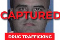 Cae en Guanajuato presunto operador del C&aacute;rtel del Golfo