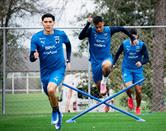 Rendimiento albiazul, por los suelos