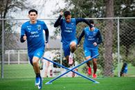 Rendimiento albiazul, por los suelos