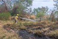 Capturan a pirómano en Montemorelos Capturan a pirómano en Montemorelos