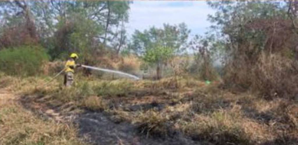 Capturan a pirómano en Montemorelos Capturan a pirómano en Montemorelos