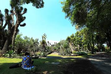 Jard&iacute;n Bot&aacute;nico de la UNAM organiza encuentro de Pok&eacute;mon Go