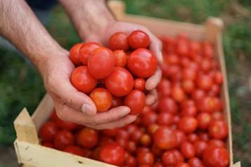 Enfrentan agroexportaciones ca&iacute;da y d&eacute;ficit comercial