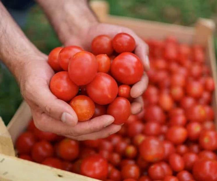 Enfrentan agroexportaciones ca&iacute;da y d&eacute;ficit comercial