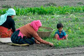 Gobierno federal invierte 17 mdp para productores de Zacatecas