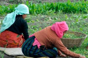 Gobierno federal invierte 17 mdp para productores de Zacatecas