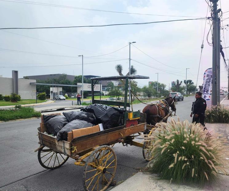 Acusan a carretonero de maltratar a caballo
