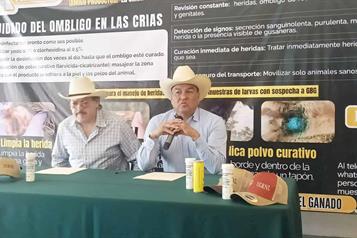 Alertan ganaderos que cada d&iacute;a suben contagios de gusano barrenador