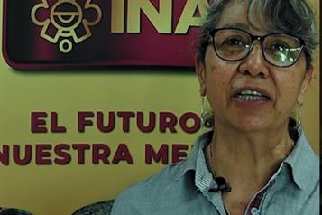 Piden renunciar a titular de Consejo de Arqueolog&iacute;a