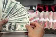 Aumentan los petrod&oacute;lares por tercer d&iacute;a consecutivo