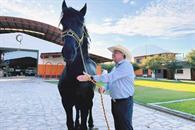 Invitan a Mega Cabalgata rumbo al Mundial m&aacute;s Norte&ntilde;o
