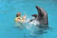 Clausura Profepa Dolphinaris Canc&uacute;n por condiciones de delfines