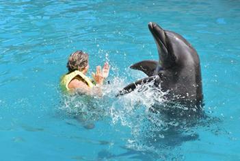 Clausura Profepa Dolphinaris Canc&uacute;n por condiciones de delfines