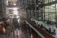 Nombran a nueva Directora de Bibliotecas y de la Vasconcelos