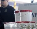 Capturan a m&aacute;s de mil en megaoperativo del FBI