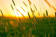 Solsticio de verano 2026: &iquest;cu&aacute;ndo ocurrir&aacute; este fen&oacute;meno?