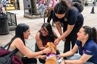 Implementarán programa de adopción de mascotas Implementarán programa de adopción de mascotas