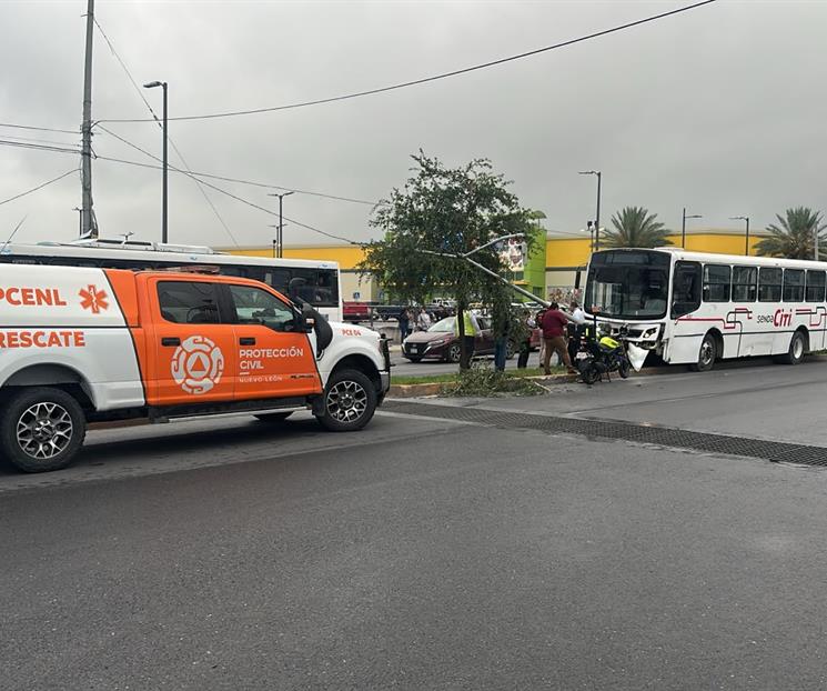 Se impacta camión contra árboles y poste Se impacta camión contra árboles y poste