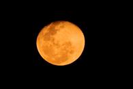Luna de Fresa: cuándo y a qué hora ver el fenómeno astronómico Luna de Fresa: cuándo y a qué hora ver el fenómeno astronómico