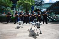 Presenta SP la nueva Policía Turística Presenta SP la nueva Policía Turística