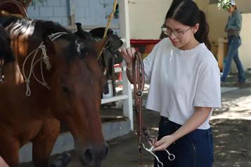 Equinoterapia: un servicio social que realizan estudiantes del Tec