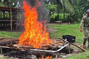 Destruyen 45 artefactos explosivos y 4 granadas halladas en Tabasco