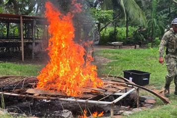 Destruyen 45 artefactos explosivos y 4 granadas halladas en Tabasco