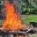 Destruyen 45 artefactos explosivos y 4 granadas halladas en Tabasco