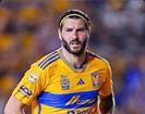 No procesa del todo bien Tigres marcha de ídolos No procesa del todo bien Tigres marcha de ídolos
